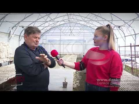 MOJ KRAJ, MOJ RAJ - EMISIJA 13 - SELO VUČA, OPŠTINA LEPOSAVIĆ , DANKOS PLUS TV KOSOVSKA MITROVICA