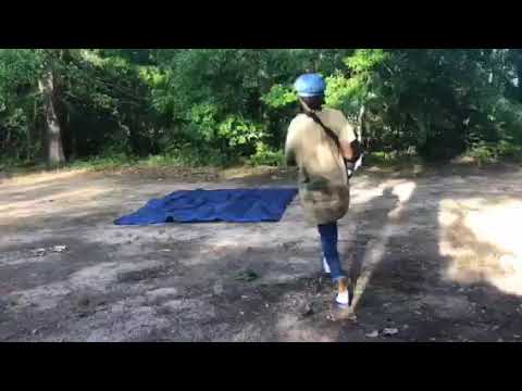 the tent/car camp set up