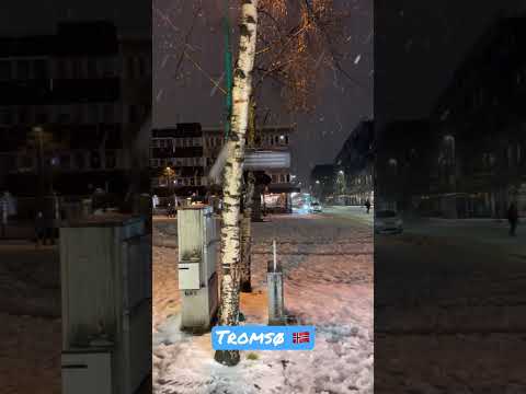 Snowfall in Tromsø 🇳🇴