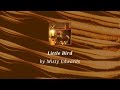 Little Bird - Misty Edwards lyric video 