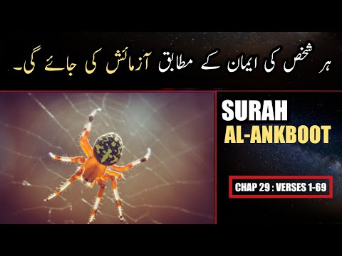 Surah Al Ankabut Urdu Translation Only | Surah Al Ankabut Urdu Tarjamah K Sath | Surah 29