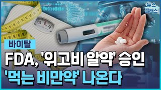 위고비 알약 FDA 승인…이젠 '먹는 비만약' 시대 [바이탈] / 한국경제TV뉴스