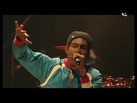 Beat Assaillant - Vieilles Charrues - 2007