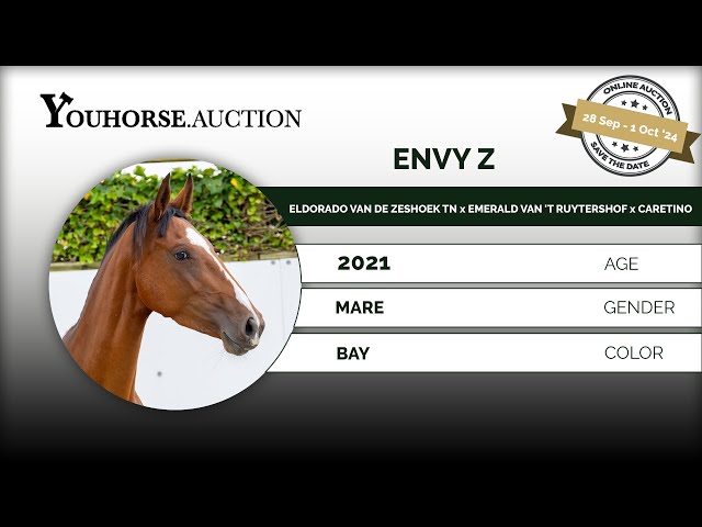 Envy Z