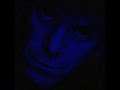 Lou Reed   Set The Twilight Reeling with Lyrics in Description