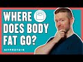 Where Does Body Fat Go The Science Behind Weight Loss Nutritionist Explains Myprotein