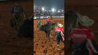 🤠 CLÉBER HENRIQUE MARQUES TRICAMPEÃO da PBR UBERLÂNDIA 🏆