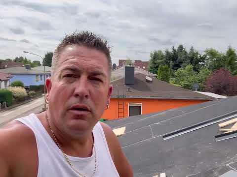 Schiefer Ornament Die Echse