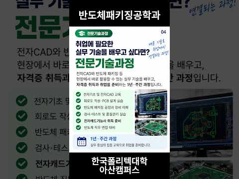 전공심화과정 vs 전문기술과정, 뭐가 다를까?
