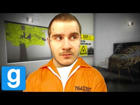 UNE CREATURE INVISIBLE !   GMOD SCP FR