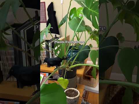 Things at Rejuvenation HQ That Just Make Sense