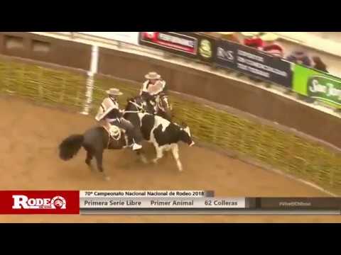 70º Campeonato Nacional Nacional de Rodeo 2018 - Serie Primera Libre A