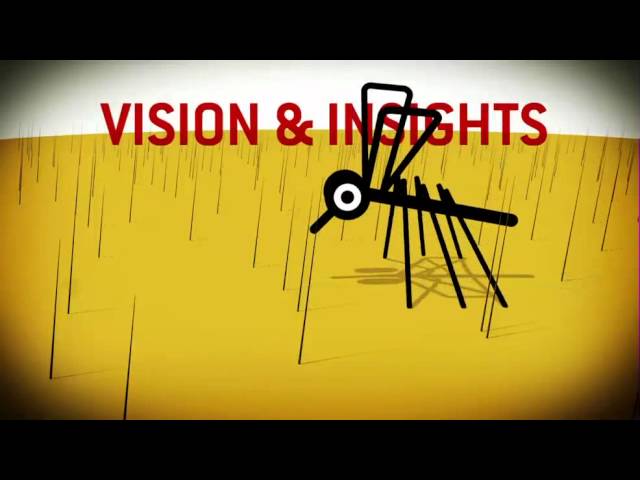 VIDEO: Mosquito