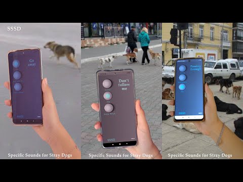 Specific Sounds for Stray Dogs video thumbnail