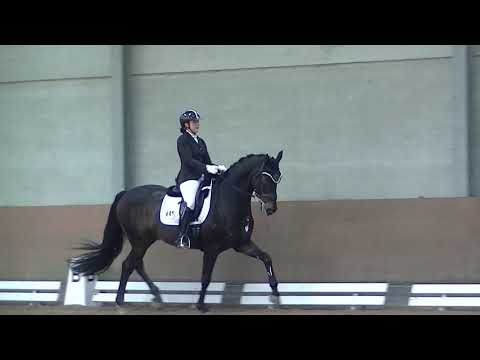 Denver von Diamond Hit - Fleurup_RM1