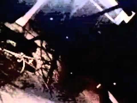 Time by Horse Thief