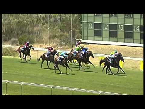 Summer Juvenile Stakes - Sergeant Hardy