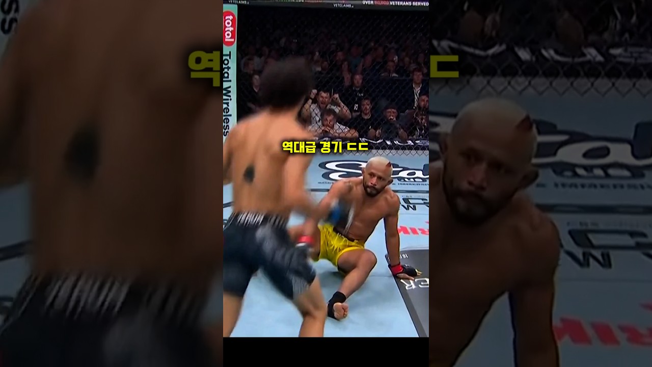 UFC332 피게레도 vs 텔벗 경기결과