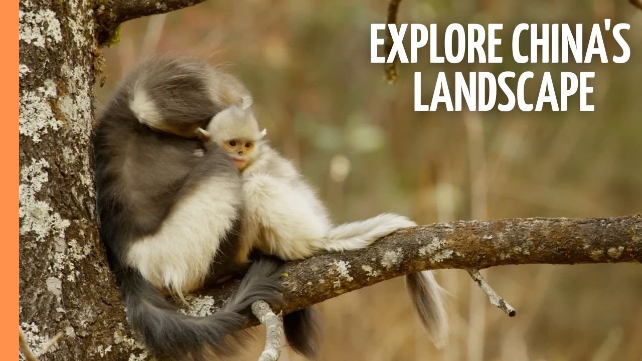 Wild Yunnan - Explore China's Breathtaking Landscape | Full Documentary