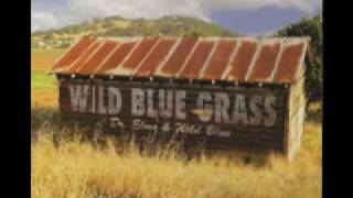 Walk the Way the Wind Blows