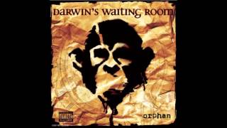 Darwin's Waiting Room - Transparent