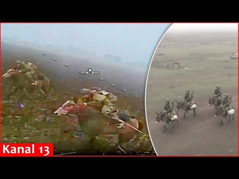 „Zweite Armee der Welt“: Ukrainische Drohnen vernichten russische Reiter und Esel, die in die Sch...