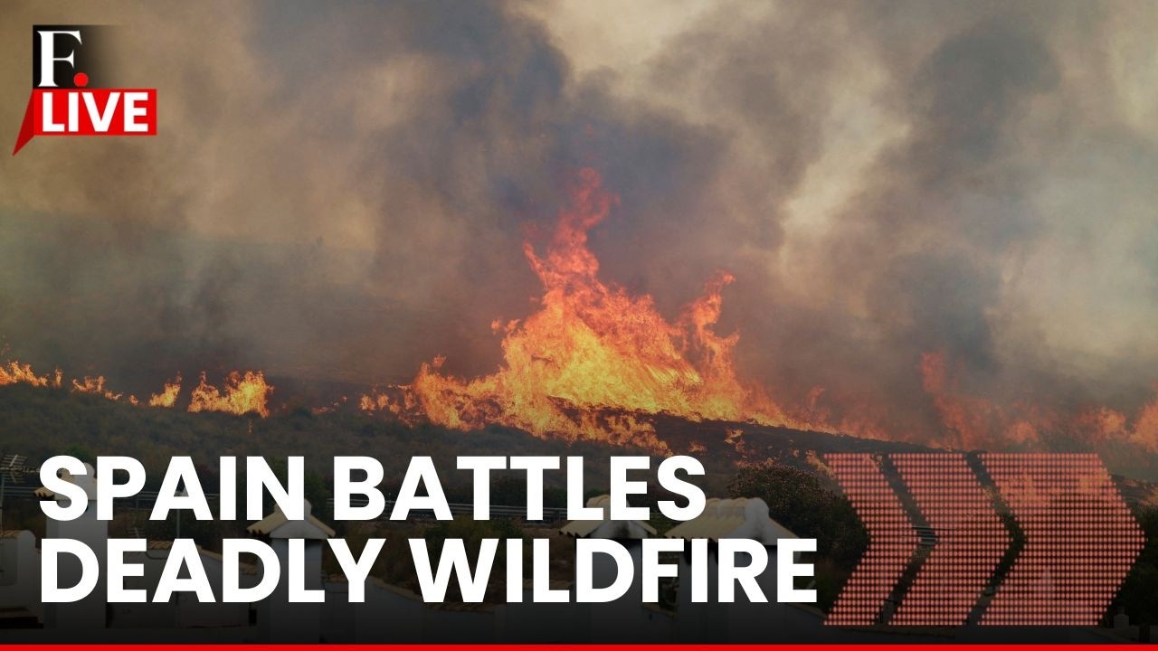 Spain Wildfire LIVE: Almost 12 Dead and 23 Missing as Wildfire Rattles Spains Almeria