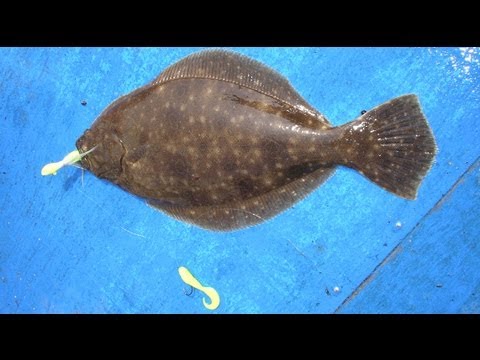 How to Tie and Fish a Flounder Bucktail Rig