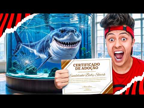 ADOTEI UM TUBARÃO DE ESTIMAÇÃO! *Enaldinho Baby Shark