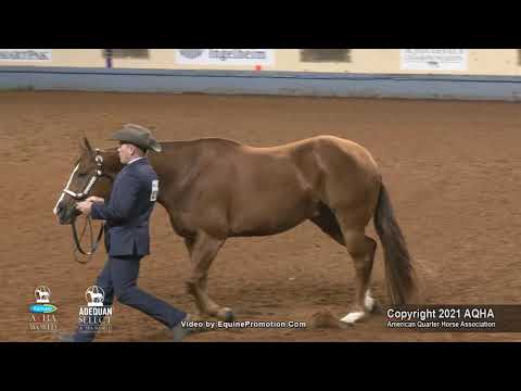 2021 AQHA Select Showmanship