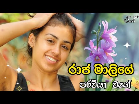 Raja Malige | රාජ මාළිගේ | Red Raj | Raja Malige Paraviya Wage | Sinhala Songs | live singing