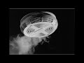 Smoke Alarm Sound Effect