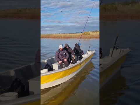 Linda pesca en Viamonte Cordoba guia @bagginiadrian tel +54 9 3537 60-8707
