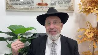 Les murs de ta maison écoutent tout (Zohar)...Leilouy nishmat de Chalom ben Sarah zal