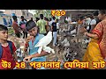 এই হাটে মাত্র ৫০টাকা থেকে শুরু পাখির দাম।। আর ৪ টে মুরগি দাম মাত্র ৩৫০ টাকা।।@mrexplorer000