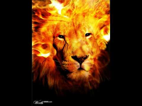 Fyah Son - Hail Up The Lion