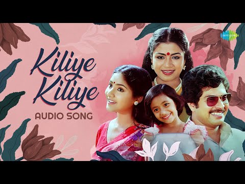 Kiliye Kiliye - Audio Song | Aa Raathri | Ilayaraja | S. Janaki | Poovachal Khader