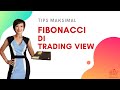 TIPS MAKSIMAL FIBONACCI Di Chart Trading View