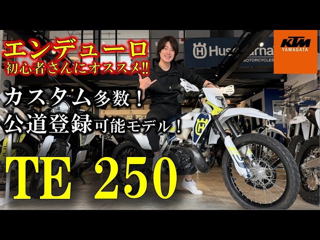 TE250/ハスクバーナ 公道登録可能モデル カスタム多数! エンデューロ
