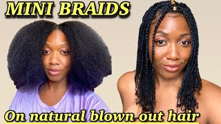 Mini Braids | Simple Protective Style on Natural hair