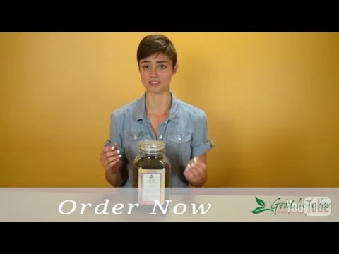 download lagu mp3 mp4 What Does Ice Wine Tea Taste Like, download lagu What Does Ice Wine Tea Taste Like gratis, unduh video klip What Does Ice Wine Tea Taste Like