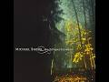 MICHAEL BROOK – 09 Silverized