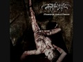 SVARTTJERN - Stillborn Acolyte 