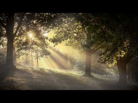 Mateo Flecha  (1480-1553) El Jubilate - Renaissanceposaune