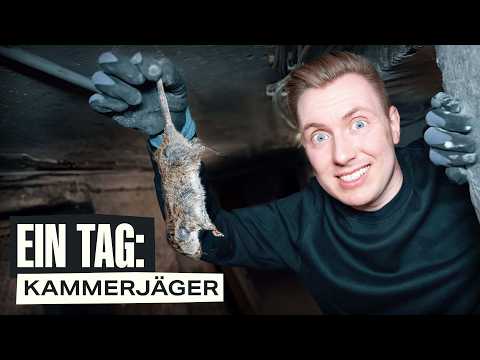 Auf der Jagd nach Ratten, Motten & Bettwanzen - 1 Tag als Schädlingsbekämpfer