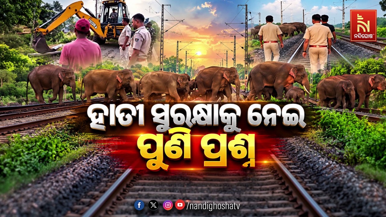 🔴Live | ହାତୀ ସୁରକ୍ଷାକୁ ନେଇ ପୁଣି ପ୍ରଶ୍ନ