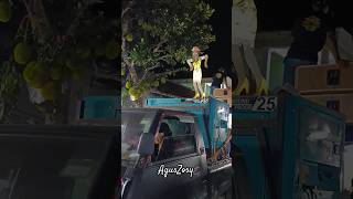 Download lagu Ada yang unik di karnaval kunir blitar#shorts mp3
