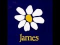 James Stripmining