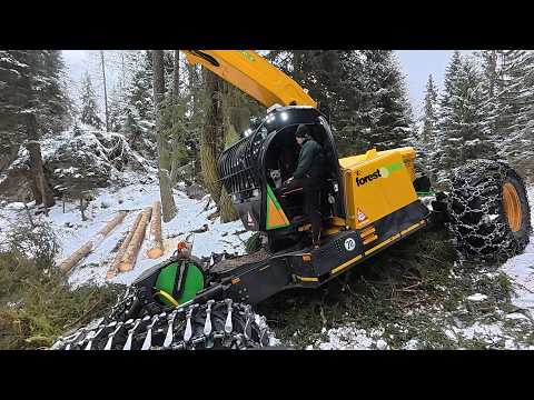 🌲 powercutting 🌲  forest peg - Highlander - Husky 564 XP [ 3 : # ]