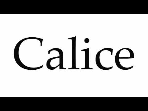 How to Pronounce Calice